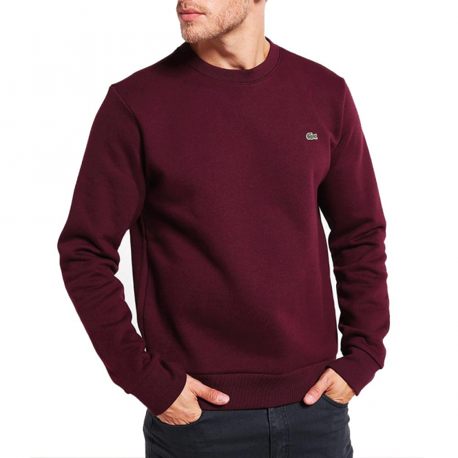 Lacoste Premium SweatShirt Embroidered- Burgundy Maroon